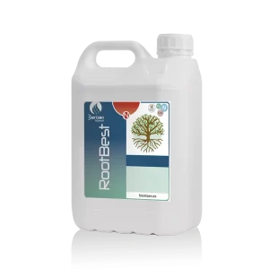 Rootbest